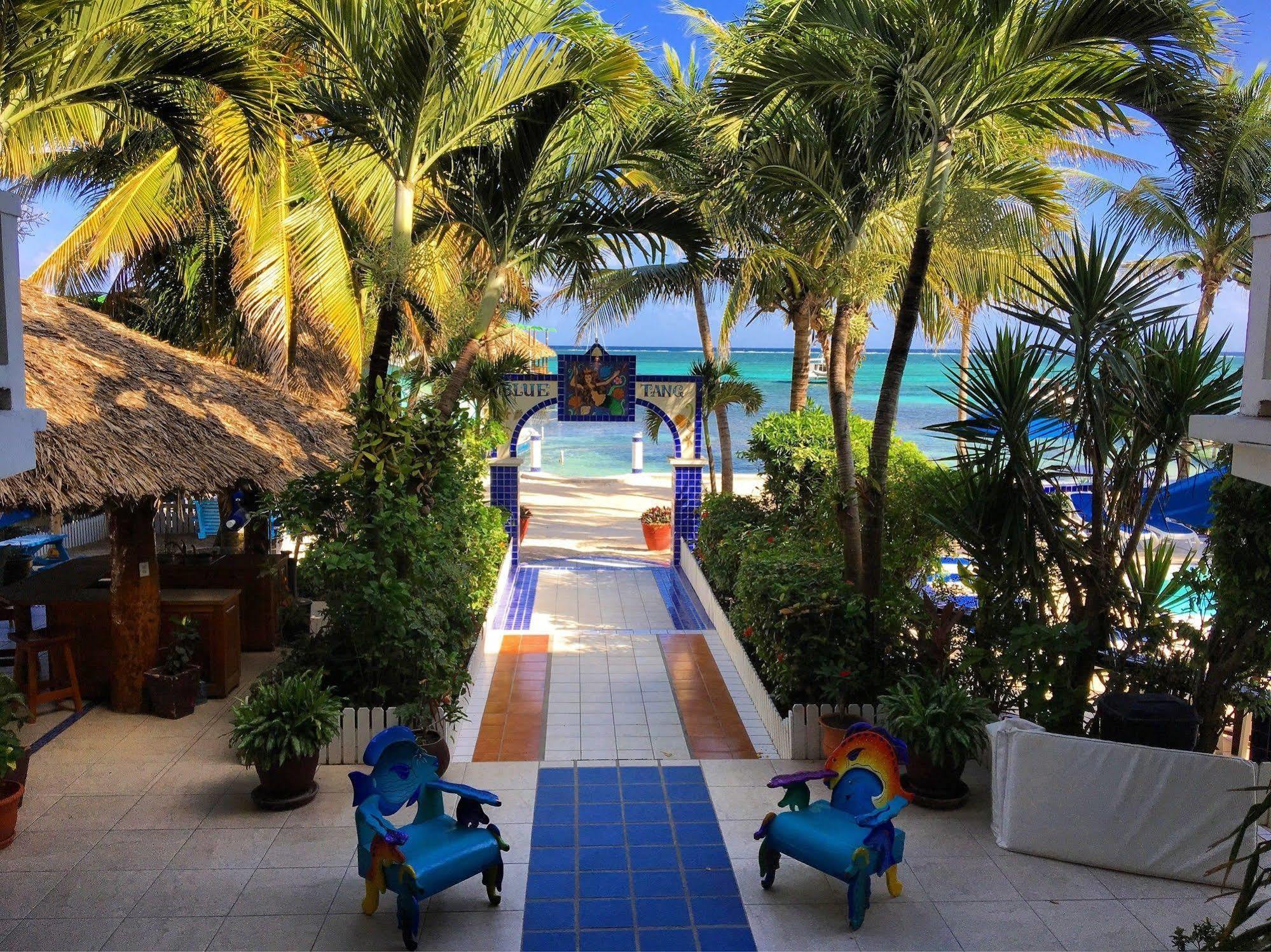 Blue Tang Inn San Pedro  Ngoại thất bức ảnh